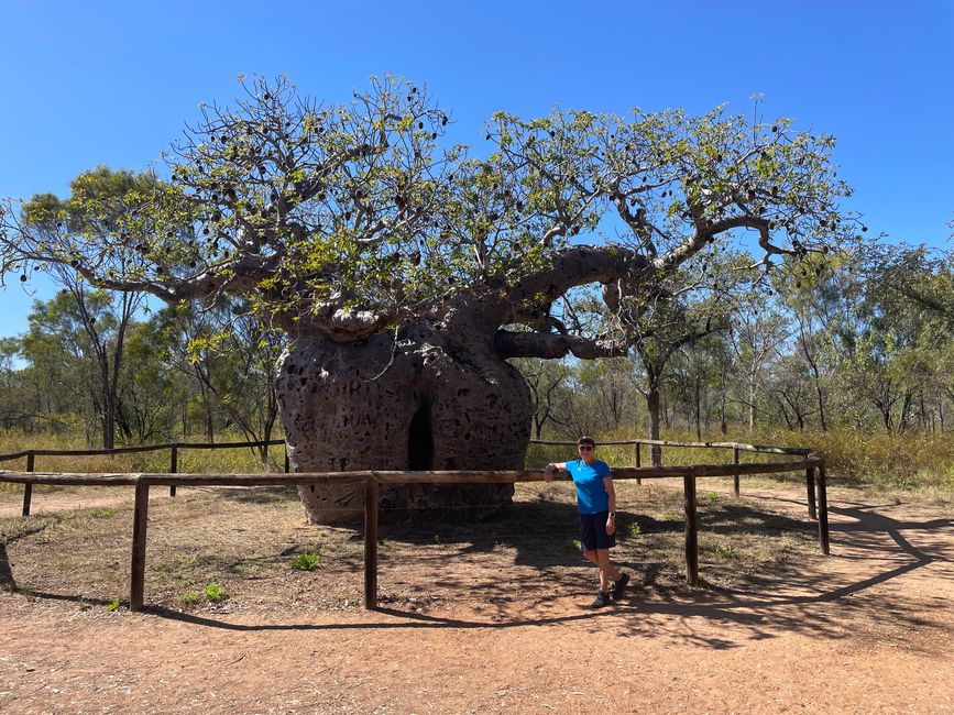 Árbol de la prisión en Derby
