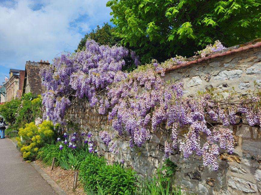 Giverny