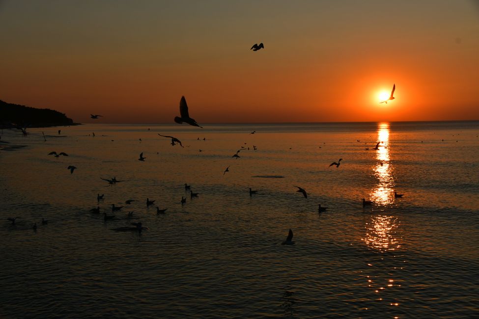 Viaggio in Masuria ad agosto 2024