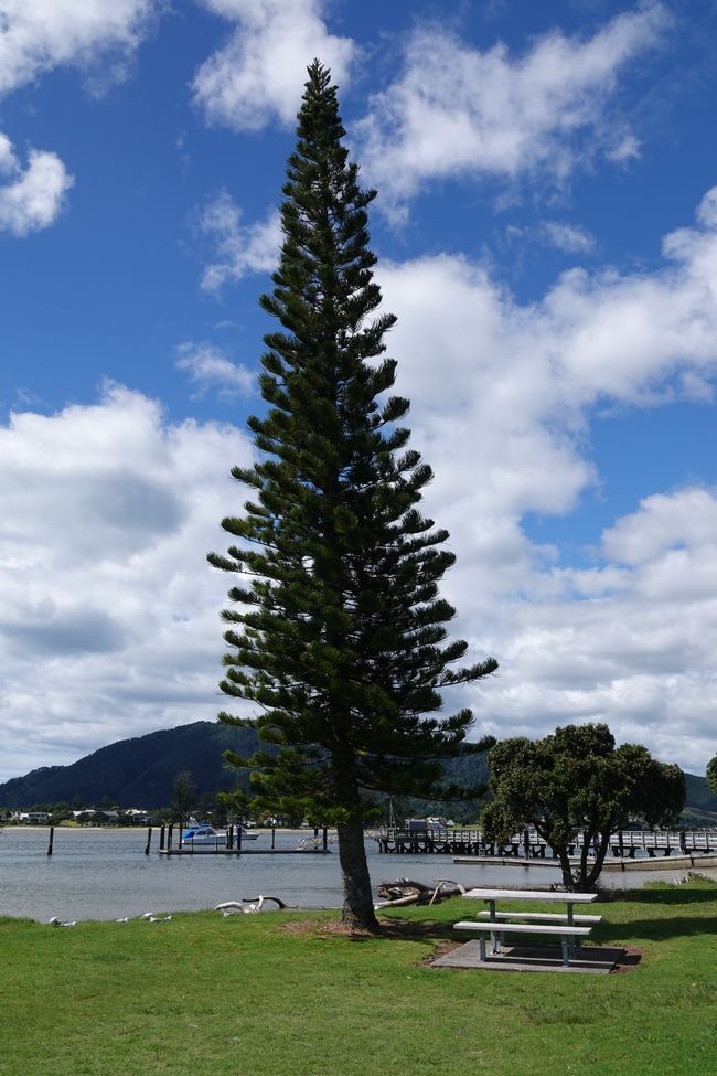 De Nueva Zelanda a Australia ....