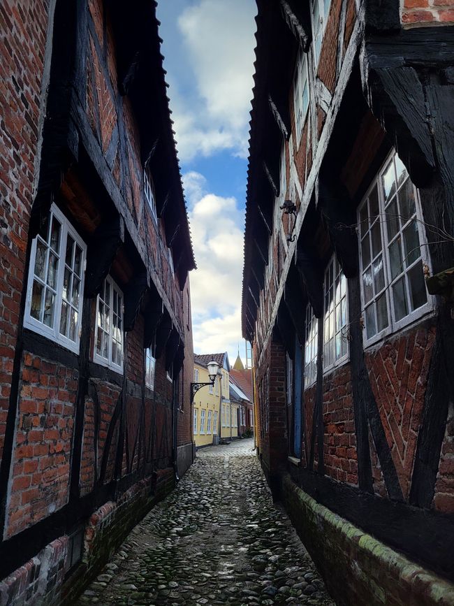 Ribe