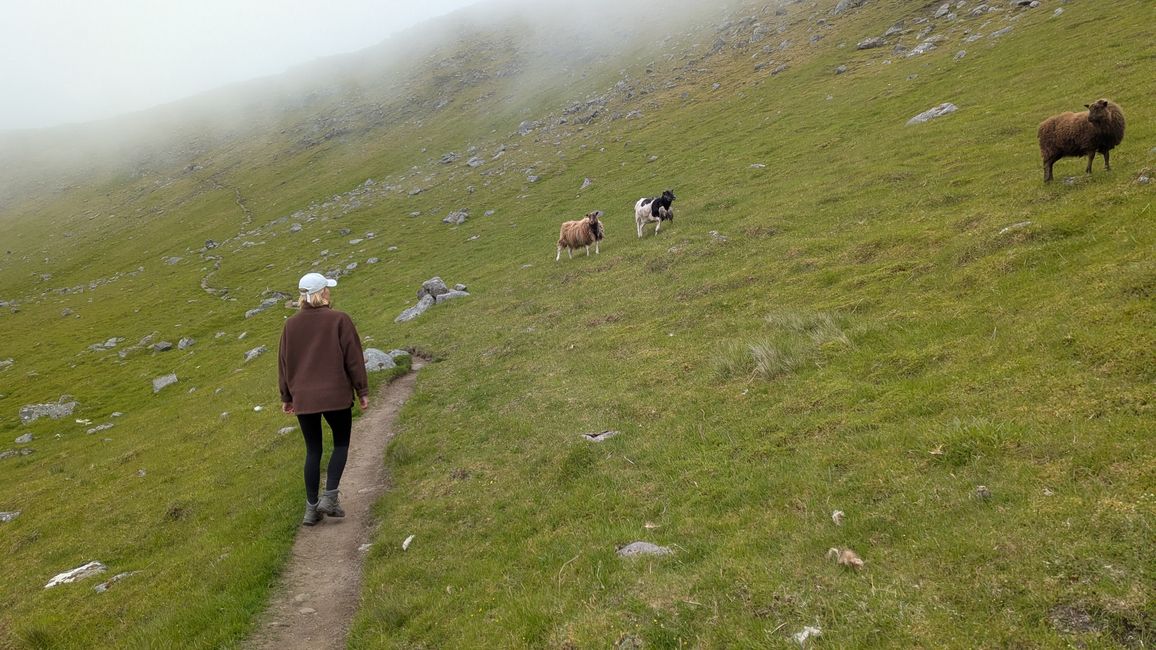 Noch eine Wanderung