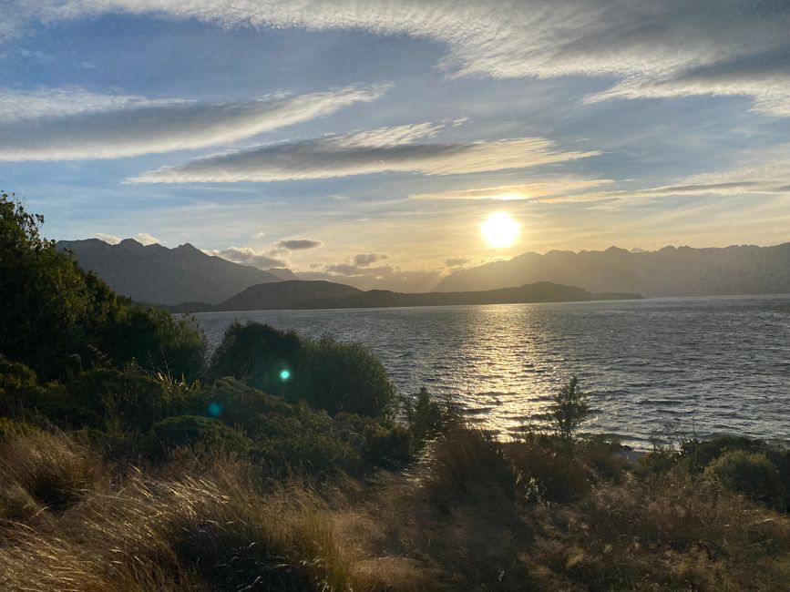 Among the glowing glowworms