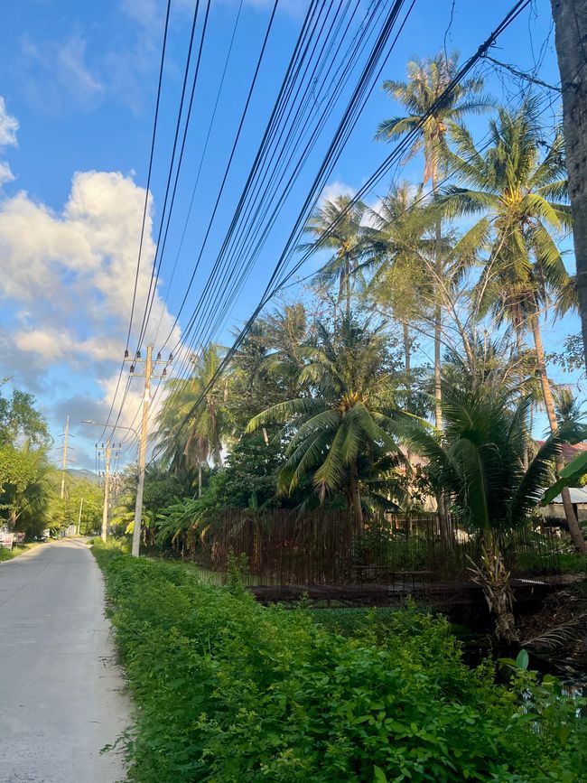 3. Challenge: nicht verzweifeln an der Bürokratie…