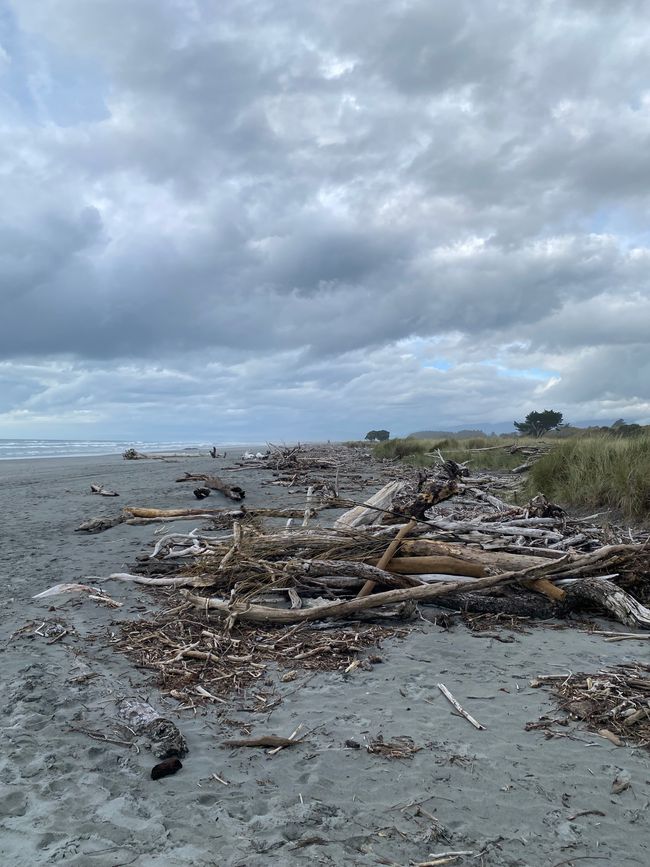 Da Hokitika a Carters Beach