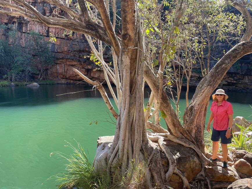 Adcock Gorge ...