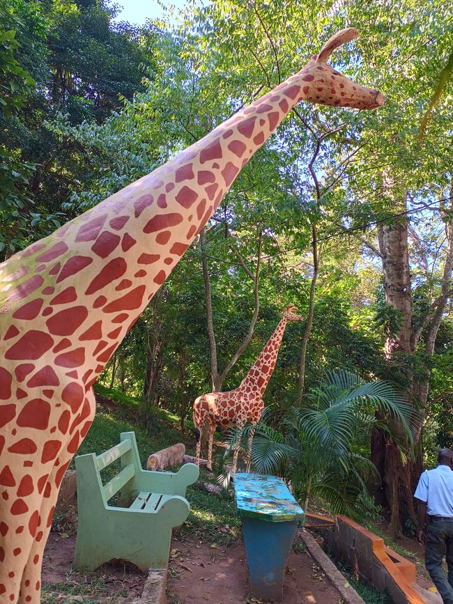 Cachoeira de Amizade/ Wasserfall der Freundschaft