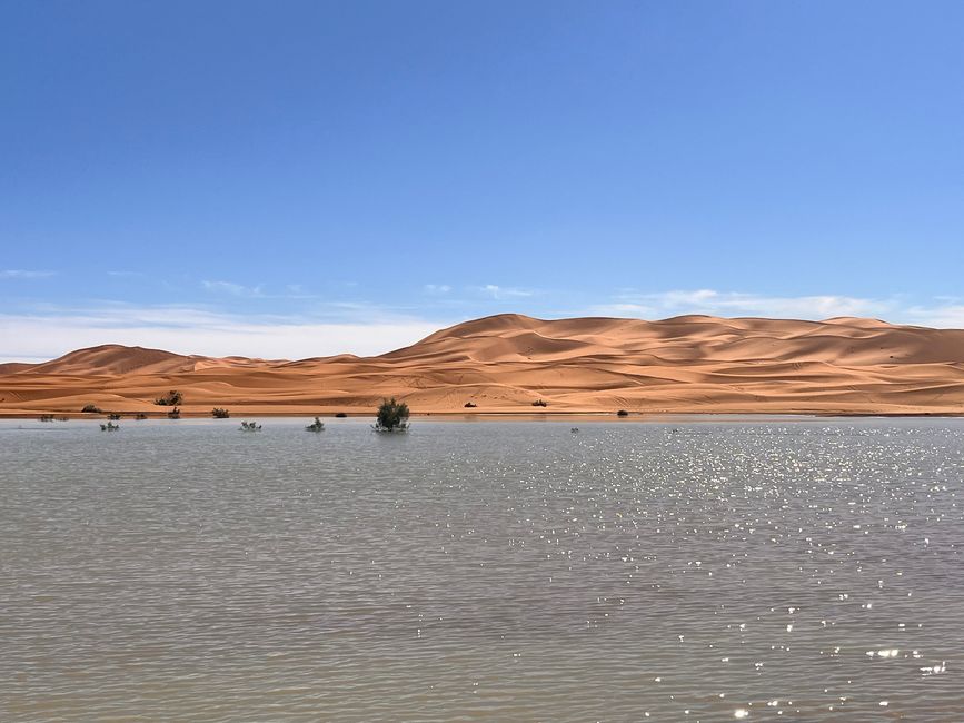 This is NOT a mirage - a real lake in the middle of the desert (albeit only for a few days)