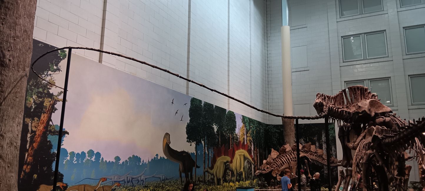 Museum of Natural History I