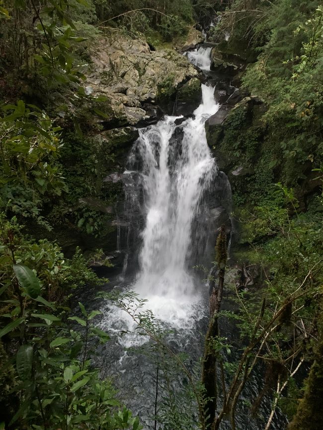 Pucón