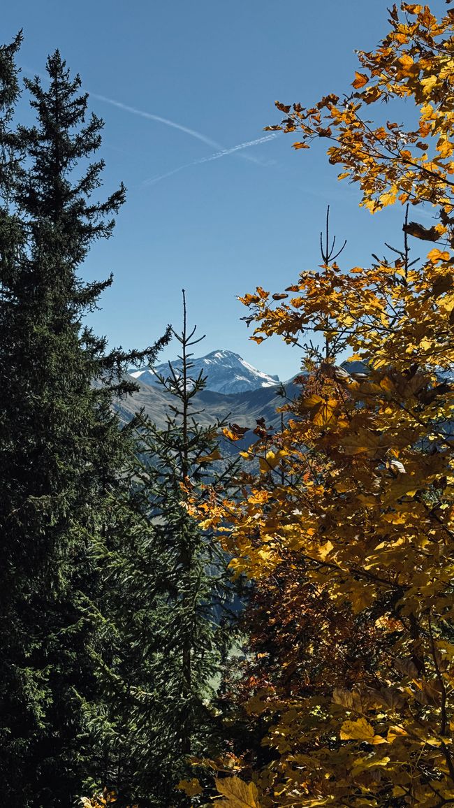 Zweisimmen 11-12 Ott. 25