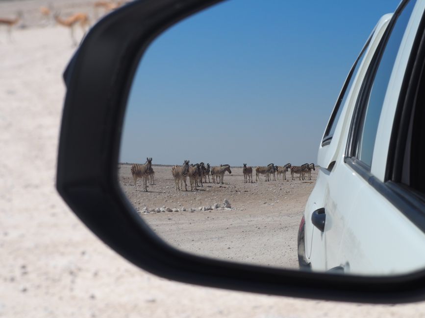 2. Day: Etosha National Park