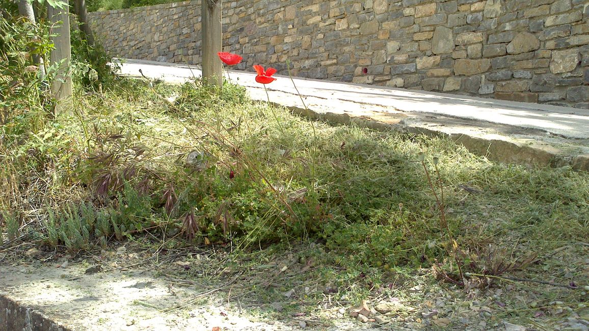 Fotos vom Pont de Claverol (Conca de Dalt, Pallars Jussà, Lleida)