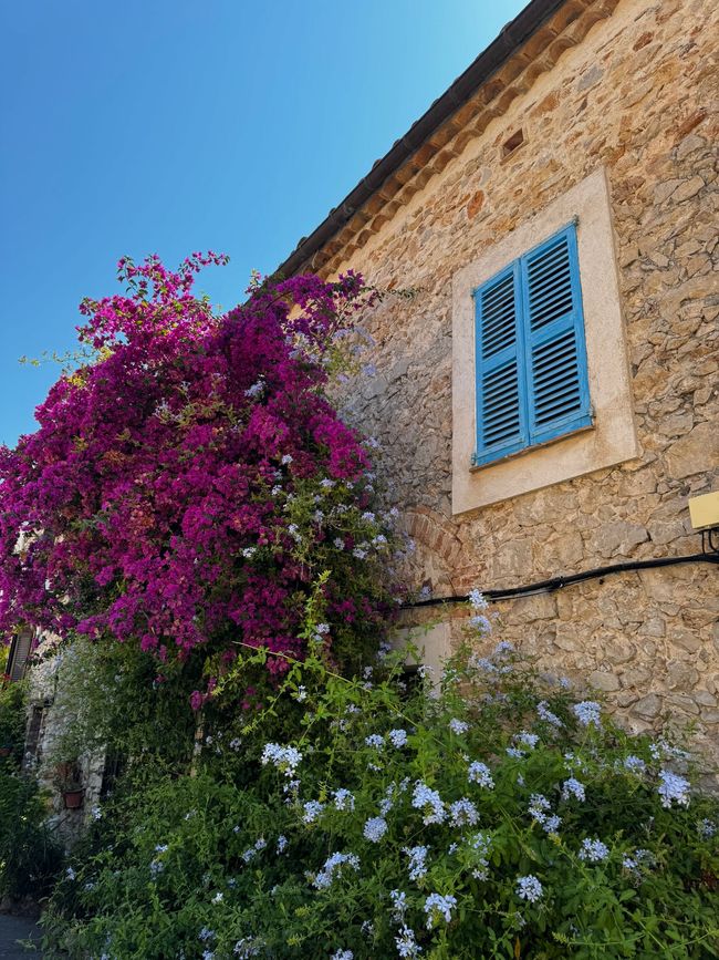 #2/4 - Nizza - Antibe und Cannes