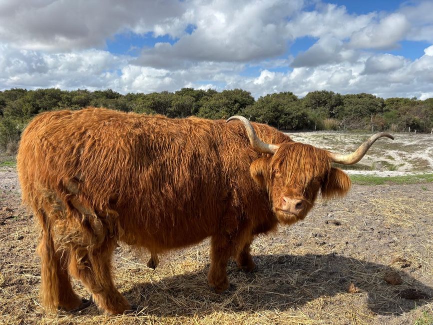 Parc des oiseaux et des animaux d'Esperance