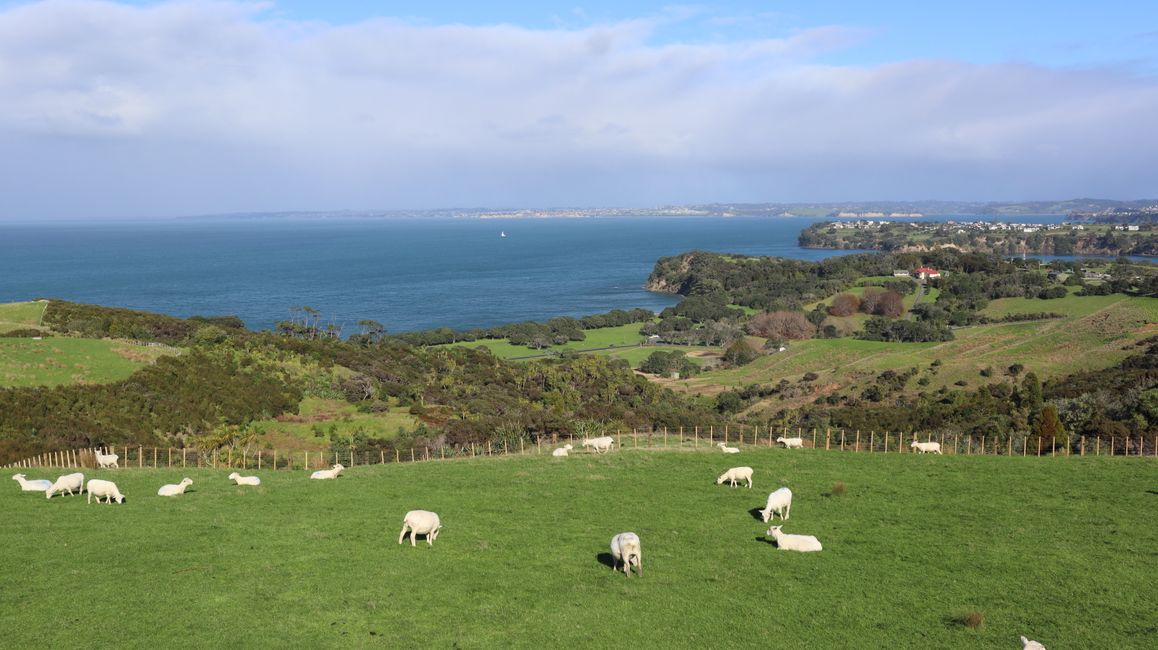 Shakespear Regional Park