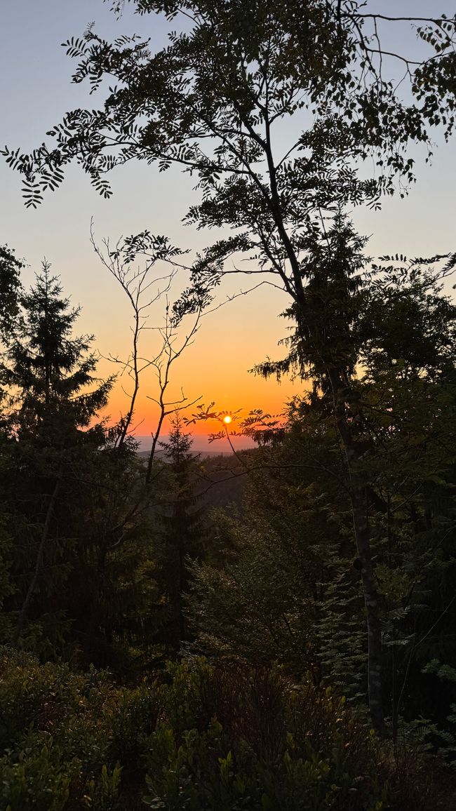 4-Berge-Marsch 2025 – Jubiläumstour mit Sonnenaufgangsmagie