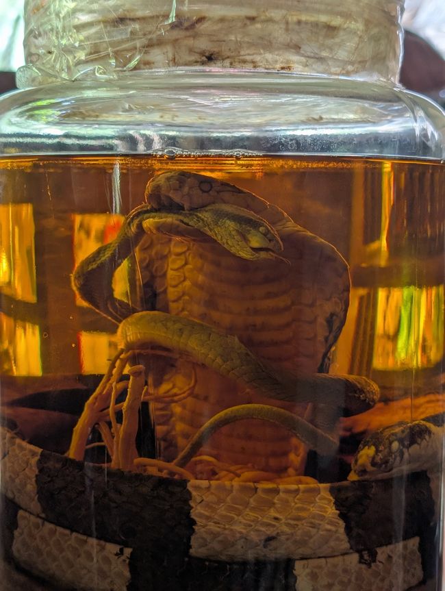 Mekong-Delta-Fragmente