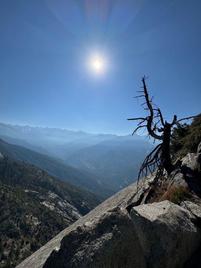 Day 6 - 5.9.2024
Sequoia NP & Kings Canyon