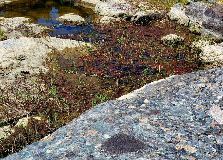 von Gletschern geschufene Gestinsplatte