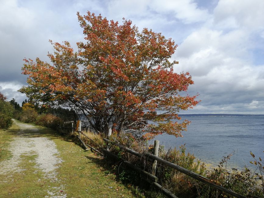 Graves Island