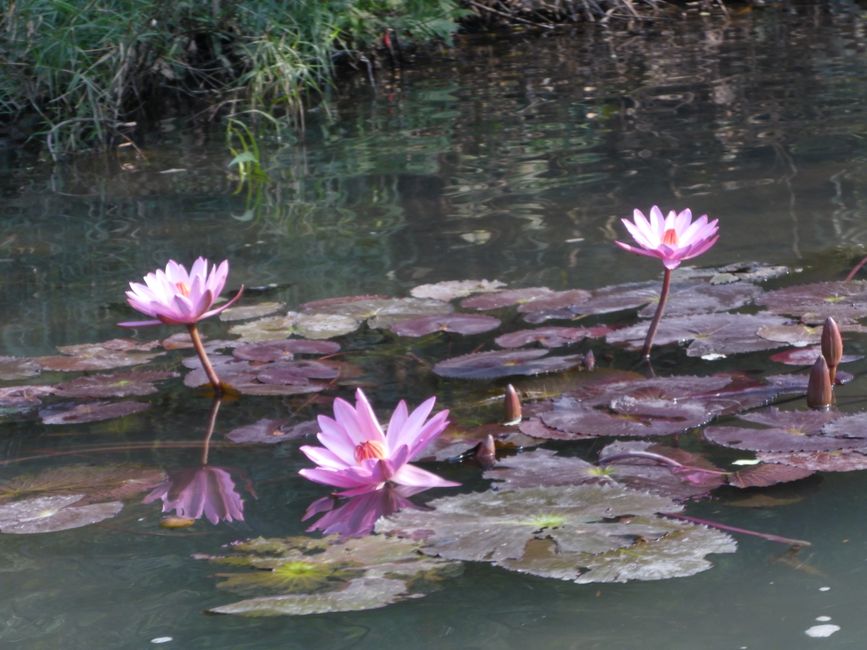 2025-01-05 Vietnam, Ninh Binh