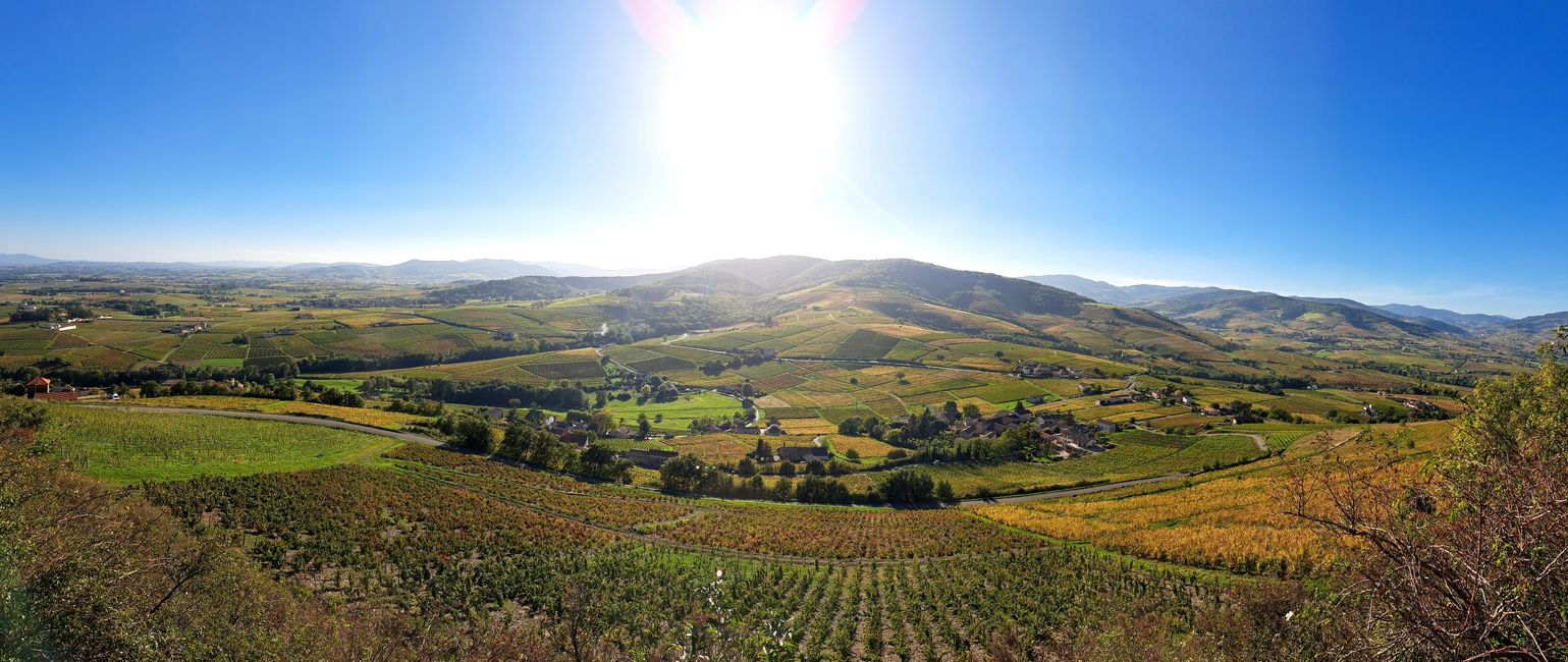 Beaujolais 