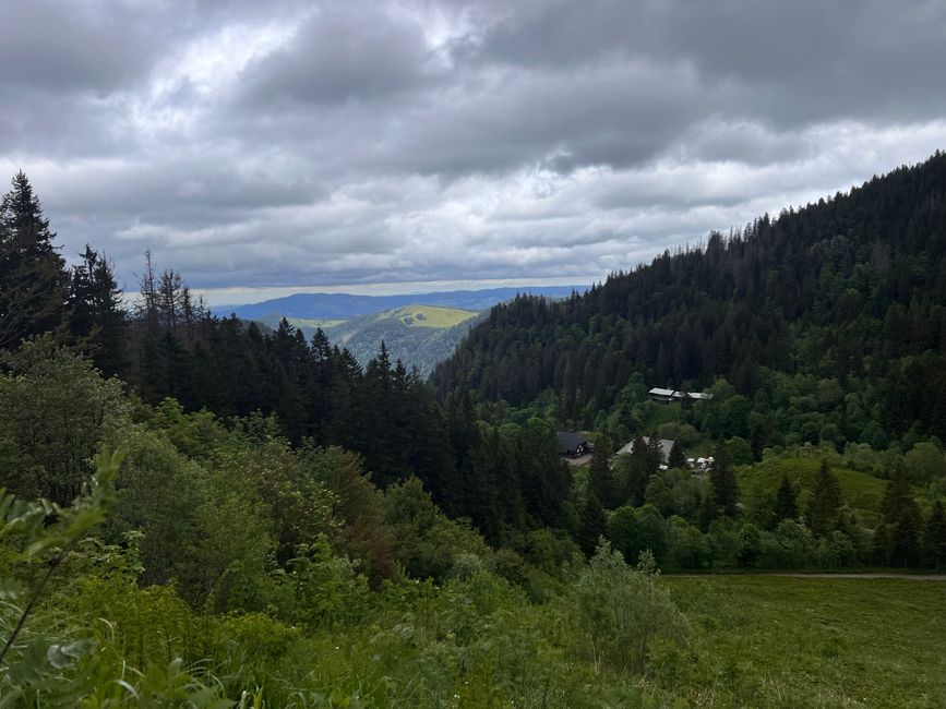 26 Feldbergsteig Escursione Pro Wolermoos