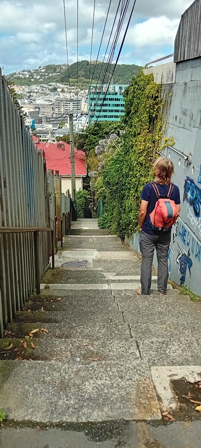 Wellington
