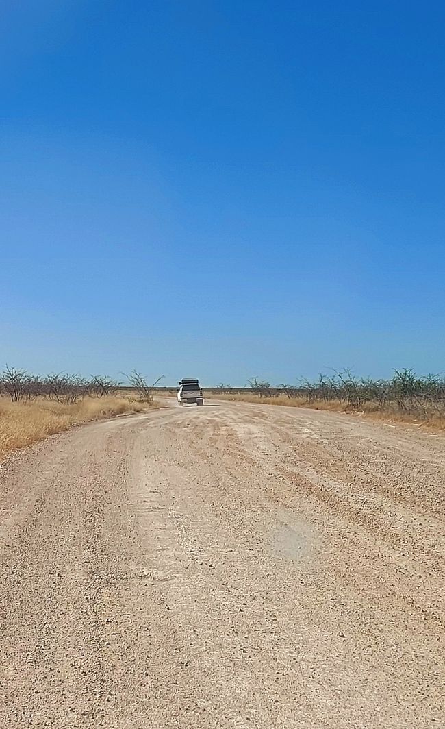 Im Etosha Nationalpark