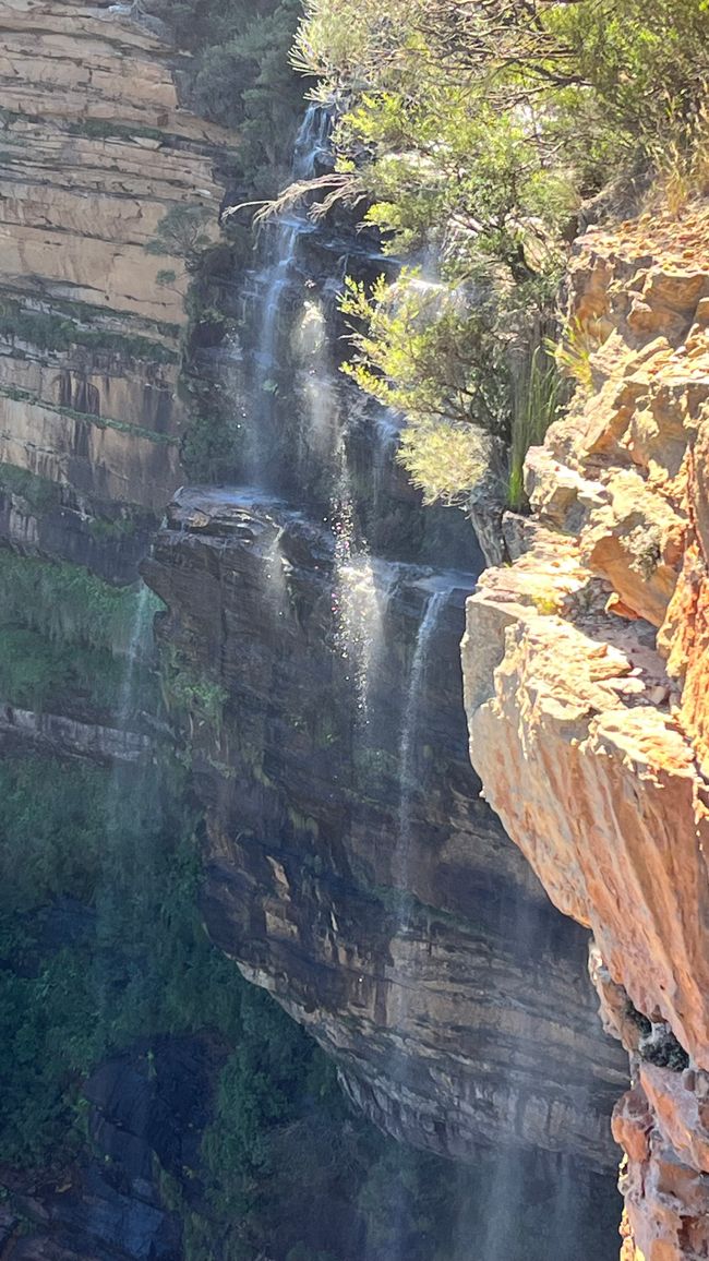 Blue Mountains