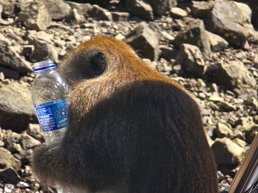 Langkawi - Reif für die Insel!