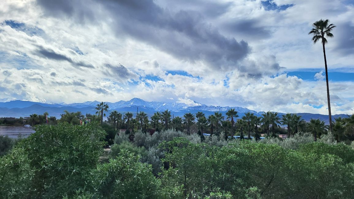 Blick von der Dachterrasse 