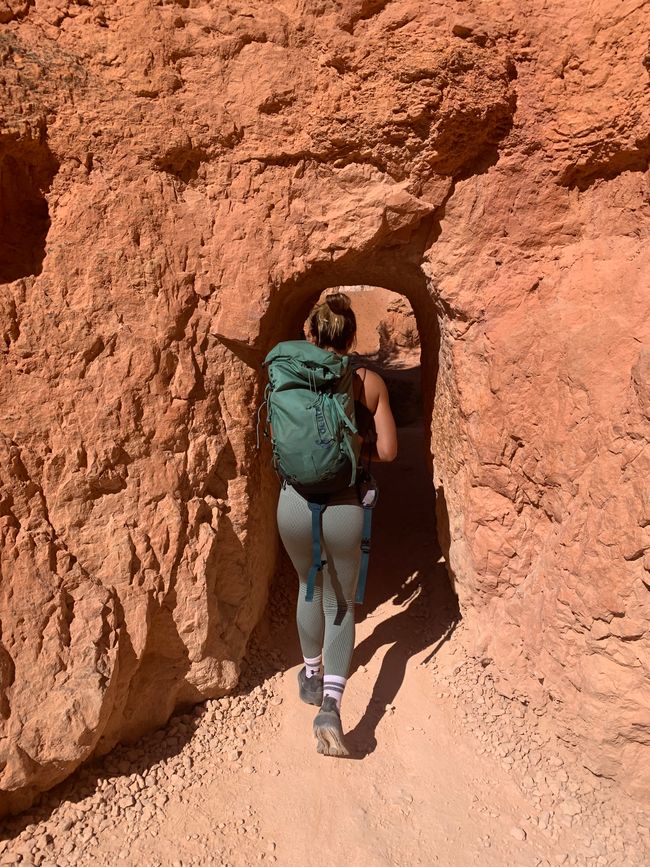 Tierra de Cañones: Zion y el Cañón de Bryce❤️