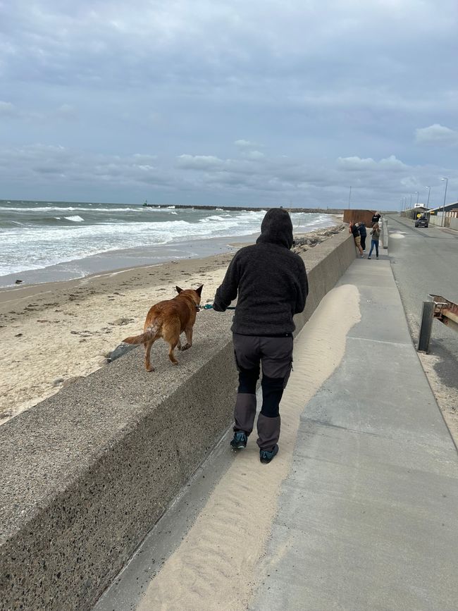 Day 2 - from Løkken to Hirtshals to the ferry to Kristiansand