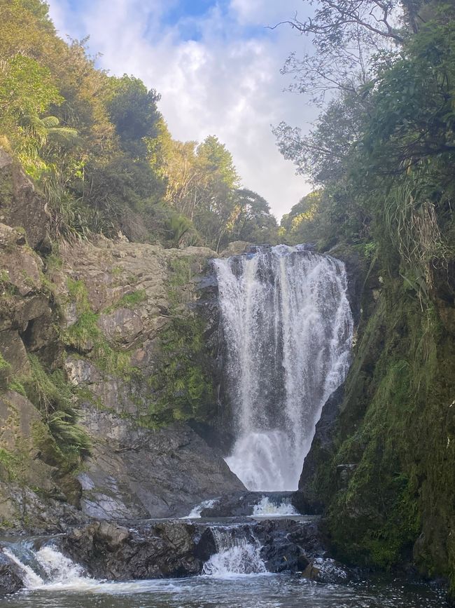 De whangarei à auckland