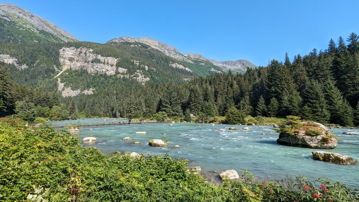 Etiqueta 25: Chilkoot Lake y más 'Oso' de lo que nos gustaría