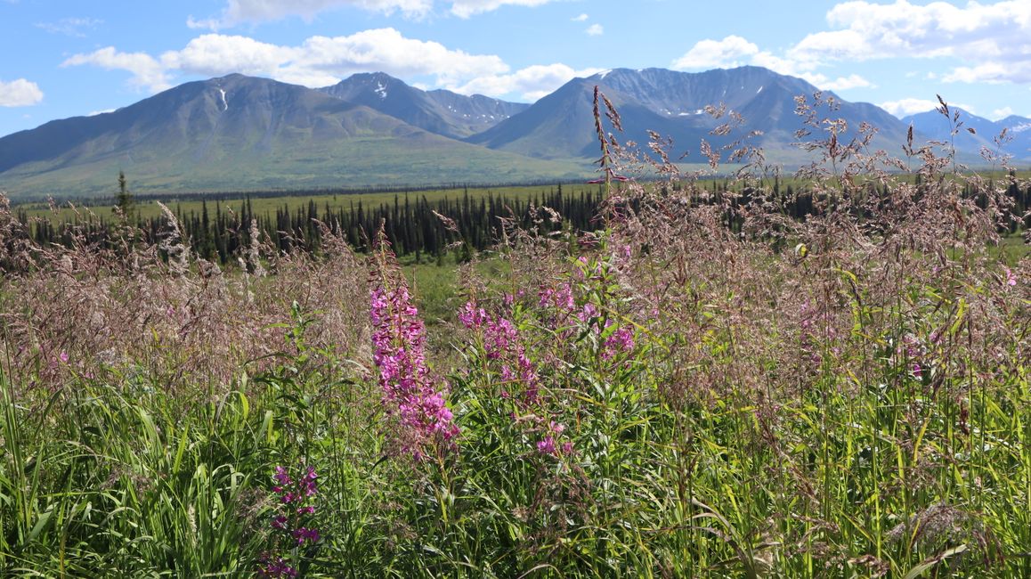 à droite Denali avec vallée et glacier