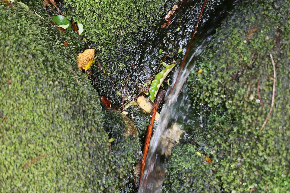 An der West Coast weiter Richtung Süden