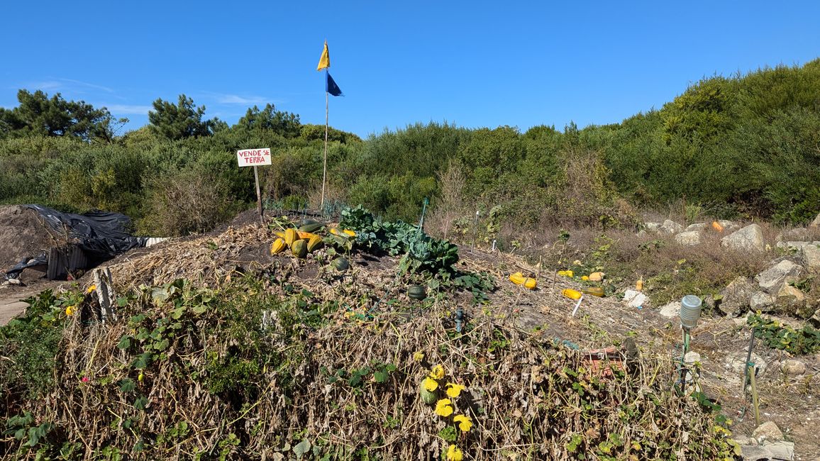 Second stage on the Camino Portugues da Costa from Povoa Varzim to Apulia Praia