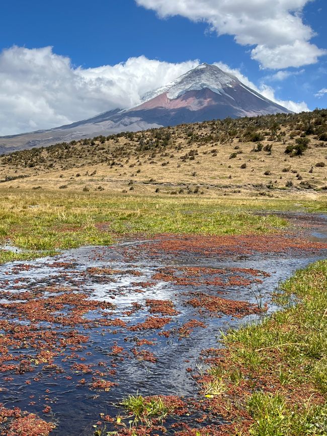 Cotopaxi