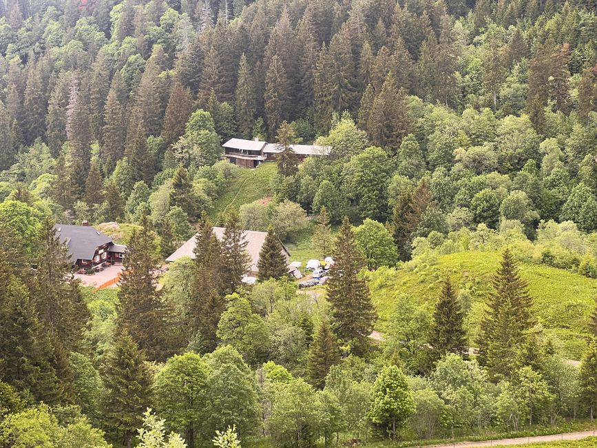 26 Feldbergsteig Escursione Pro Wolermoos