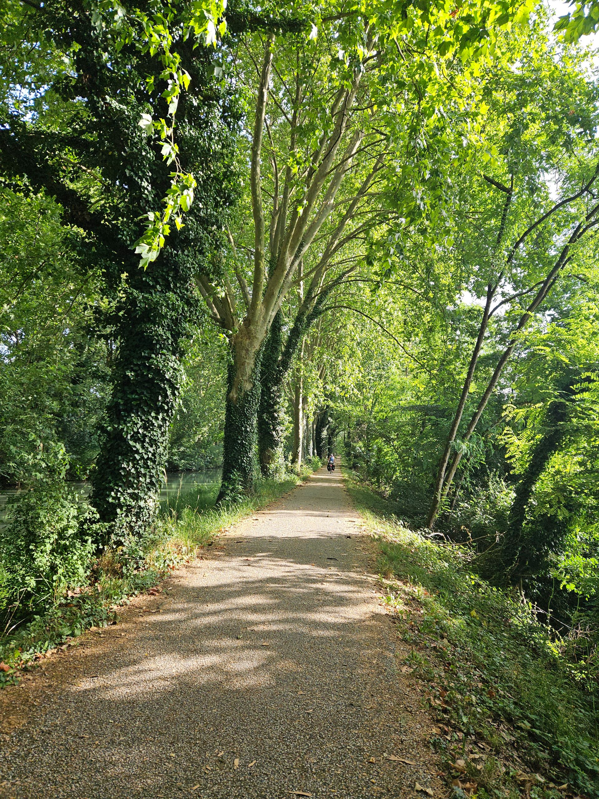 Canale laterale della Garonna a Damazan