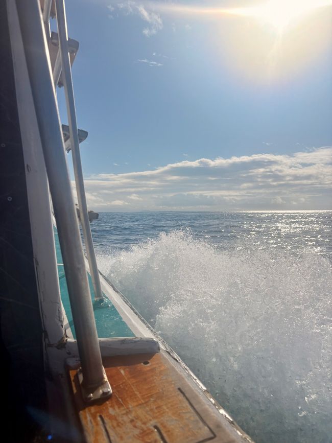 Isabela (Galápagos)