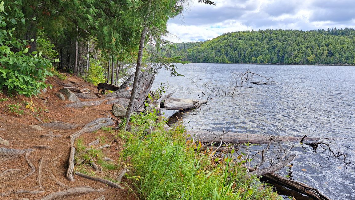 Parco Algonquin