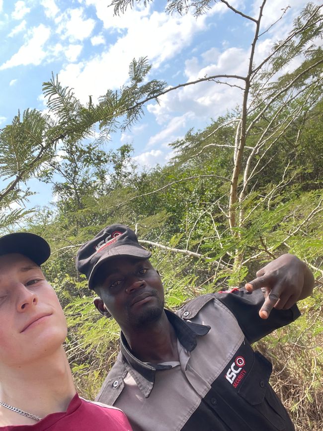 Mein unerwarteter Führer im Nyandungu Park