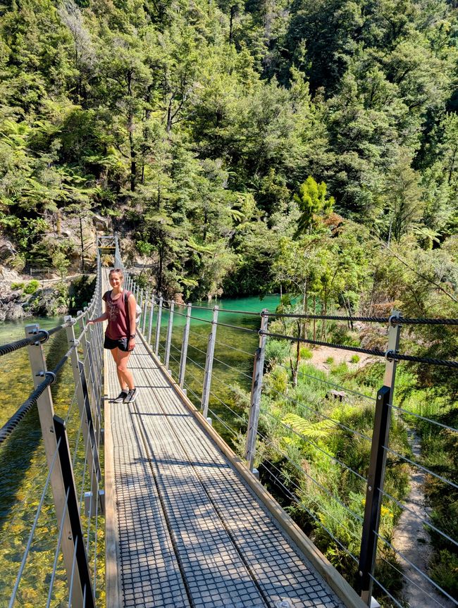 Auf ein paar Worte in Abel 
Tasman