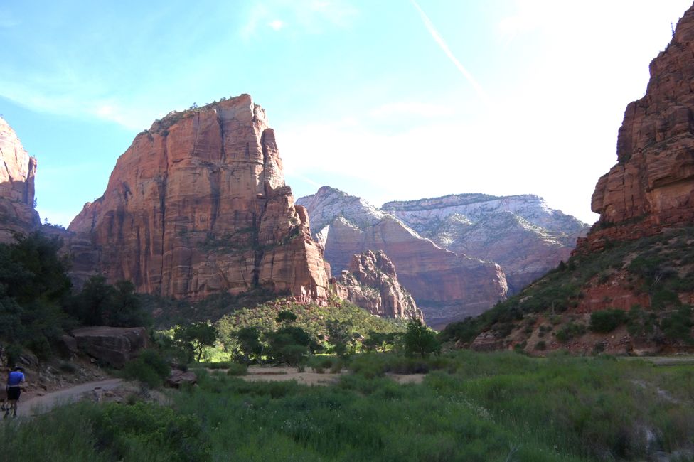 Blick hinauf zu Angels Landing