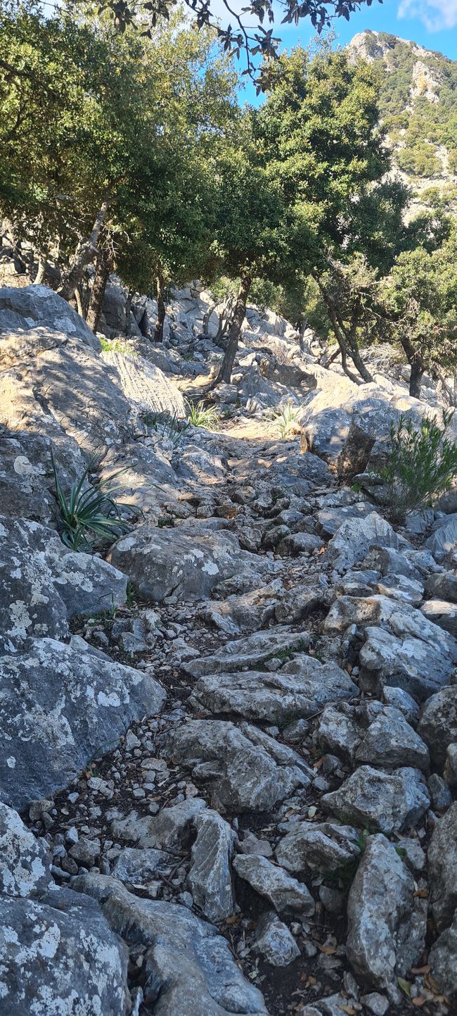 Die Königsetappe von Soller nach Refugi Tossals Verds