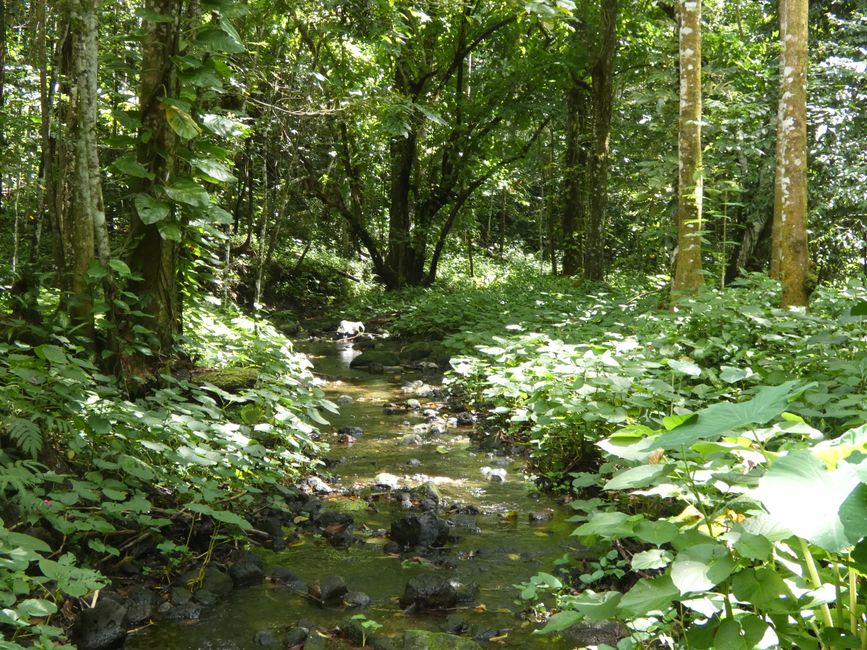 Apia, Samoa